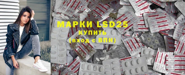 PSILOCYBIN Ладушкин