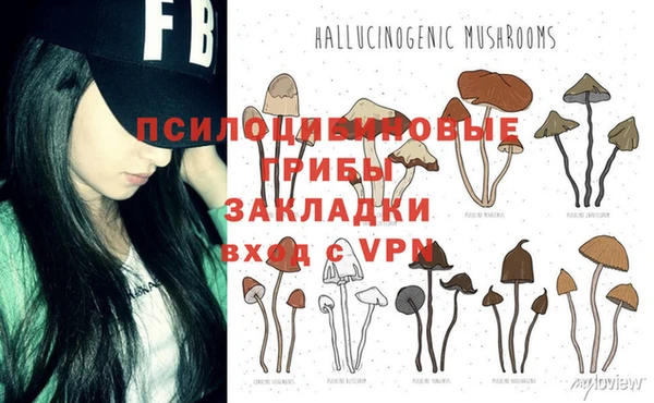 PSILOCYBIN Ладушкин