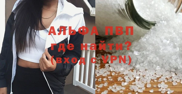 PSILOCYBIN Ладушкин
