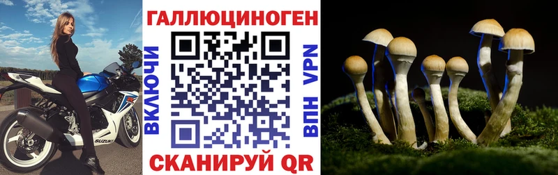 Псилоцибиновые грибы ЛСД  Купить закладки  Кемерово 
